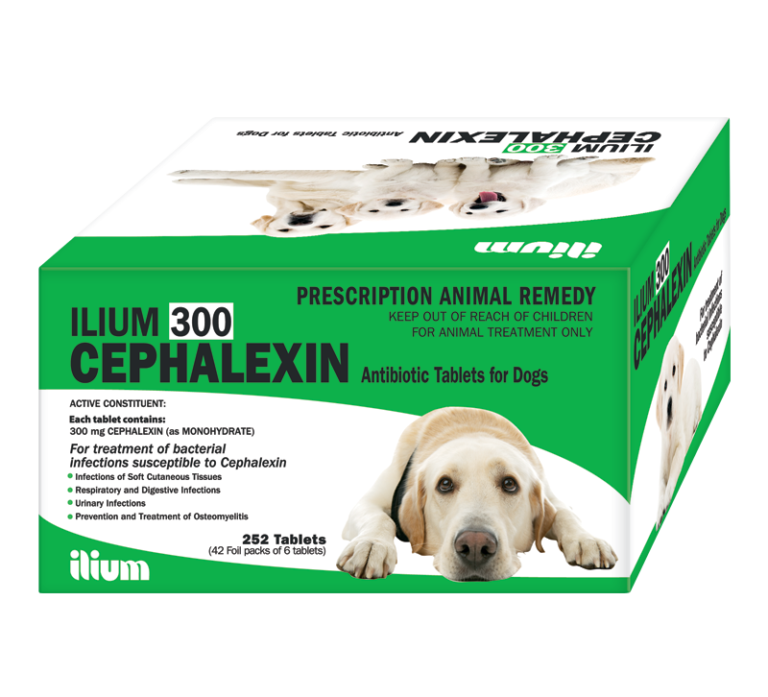 CEPHALEXIN ANT 300mg , Stripe/6tab Aldousari Veterinary Services and